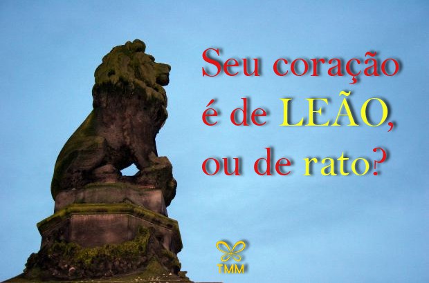 Coração de rato ou de Leão TMM Blog